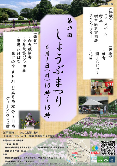 第39回しょうぶまつり開催！（県立相模原公園）